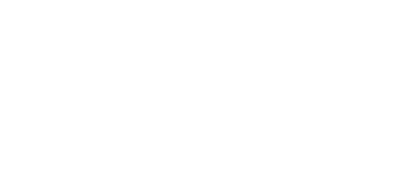 birsen-hanim-konagi-logo