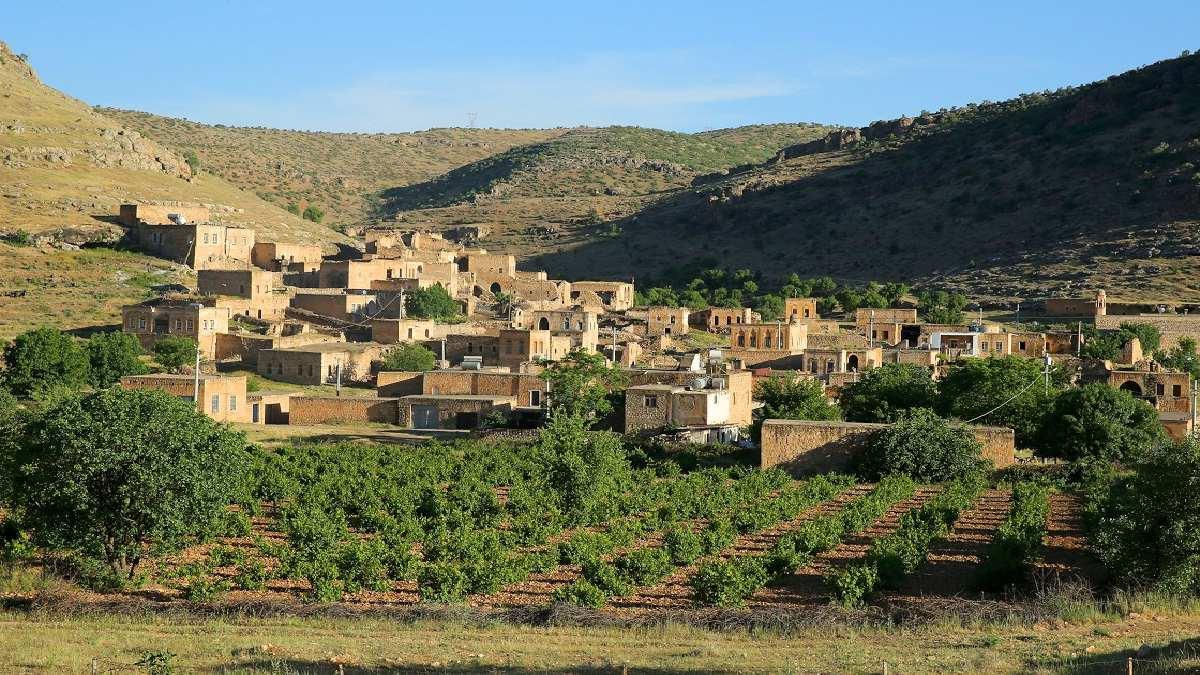 mardin